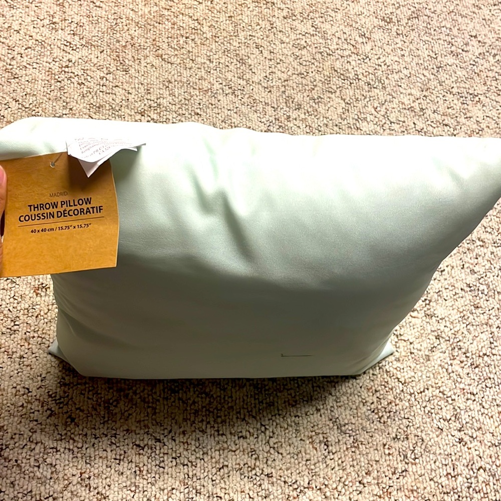 MADRID Throw Pillow (Light Mint Green) from Jysk NWT $16